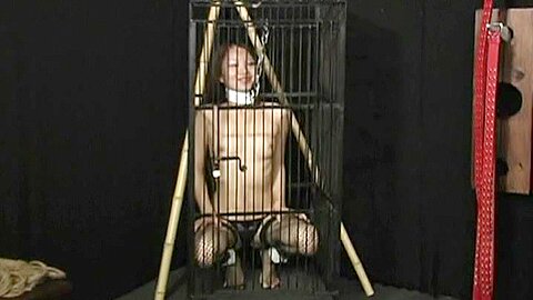 Asian Babe Bound And Punished P1